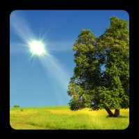 True Weather LWP 6.03