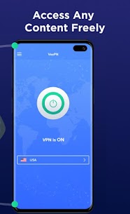 VeePN screenshot 2