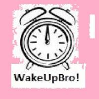 Wake Me Up Bro