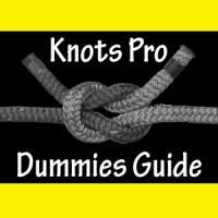 Rich Guy Knots