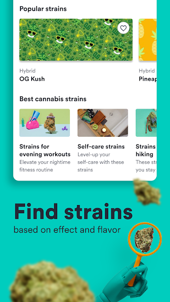 Weedmaps screenshot 4