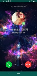 YoWhatsApp screenshot 1