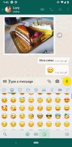 YoWhatsApp screenshot 2