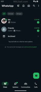 WhatsApp LiteX screenshot 1