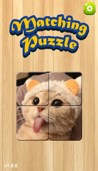 MatchingPuzzle screenshot 1