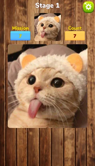 MatchingPuzzle screenshot 4