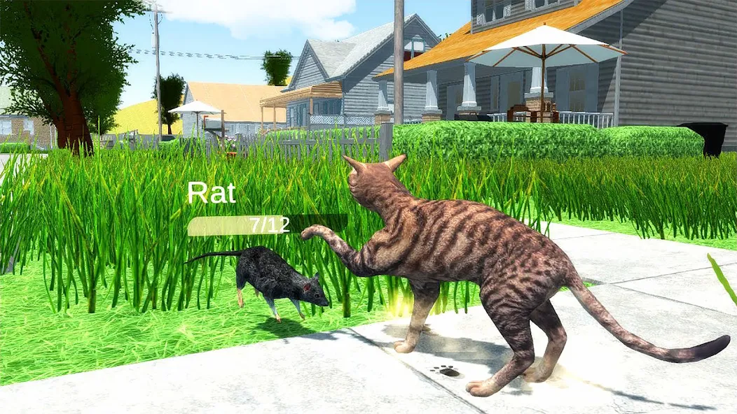 The Cat screenshot 3