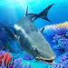 First preview of The Cobia