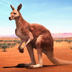 The Kangaroo screenshot 1