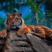 The Tiger screenshot 1