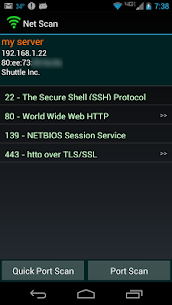 Net Scan screenshot 2