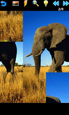 Animal Puzzle screenshot 4