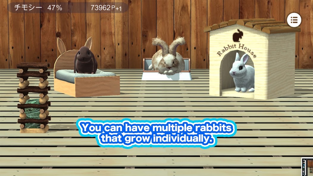 Rabbit screenshot 2
