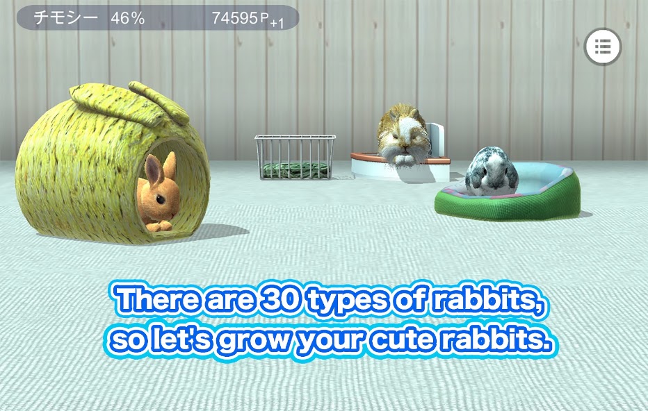 Rabbit screenshot 5
