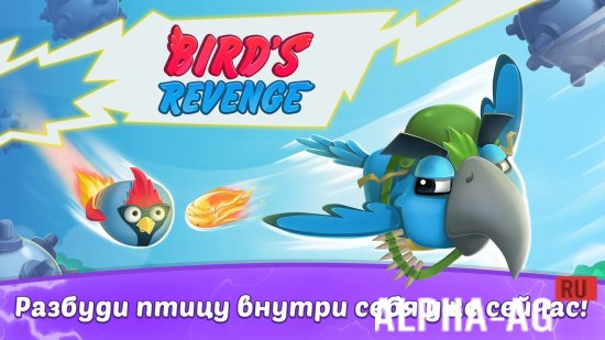 Birds Revenge