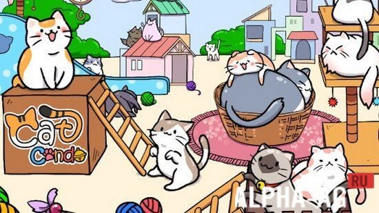 Cat Condo