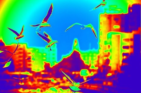 Thermal Scanner Camera 2.12 screenshot 2