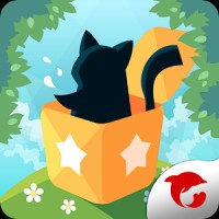 Mr.Catt