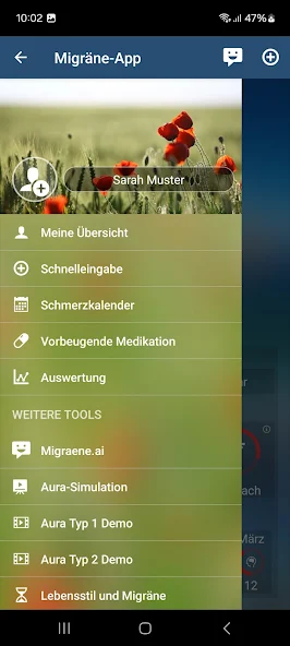 Migräne-App screenshot 2