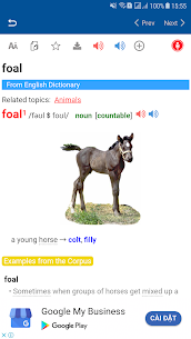 Longman Dictionary English screenshot 5