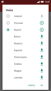Speaking Clock DVBeep screenshot 7