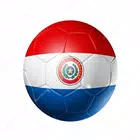 FUTBOL PARAGUAYO gameplay screen 1