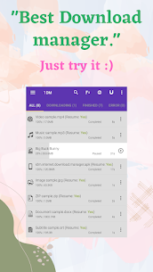 1DM+ screenshot 2