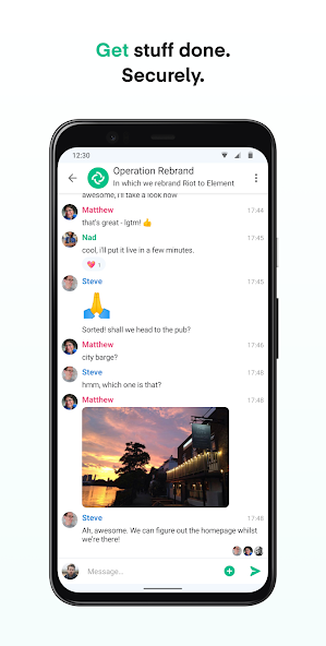 Element screenshot 4