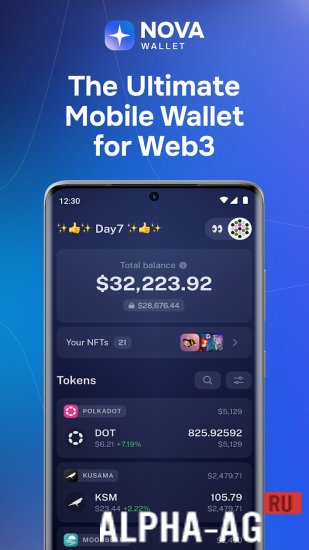 Nova Polkadot Wallet screenshot 2