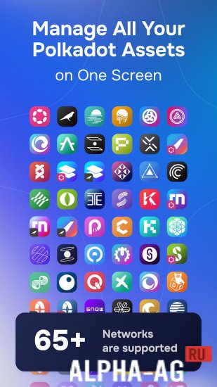 Nova Polkadot Wallet screenshot 3