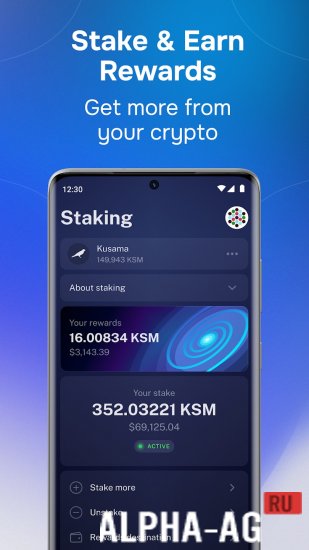 Nova Polkadot Wallet screenshot 5