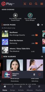 RiPlay screenshot 1