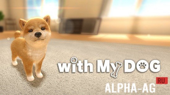 with My DOG