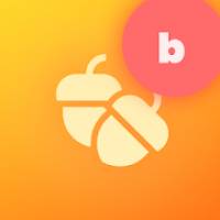 nuts widget pack