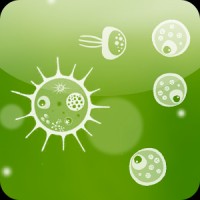 Jelly Feed