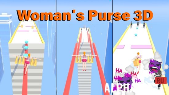 Woman's Purse 3D