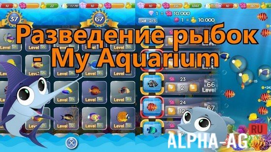 Fish Breeding