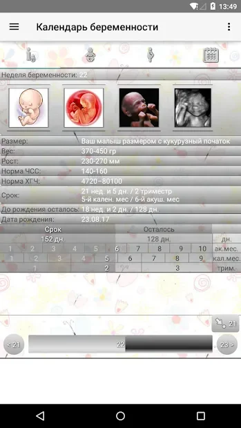 Pregnancy Calendar