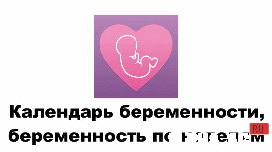 Pregnancy Calendar, Week by Week