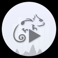 Stellio ExoBlur Theme 1.1.0