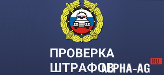 GIBDD Traffic Fines Check