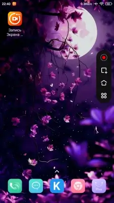 AX Recorder screenshot 5