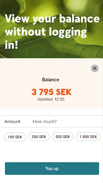 Sparbanken screenshot 2