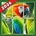 Jigsolitaire Puzzle: Slide Fun screenshot 1