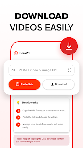 AI Video Downloader – AIVDL screenshot 2