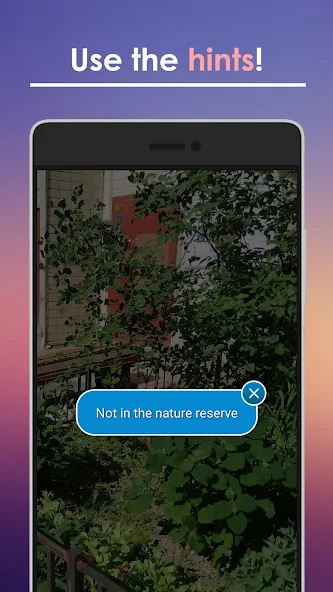 Find a Cat screenshot 3