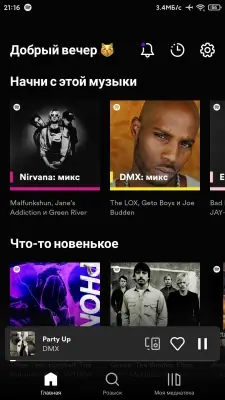 Spotify screenshot 2