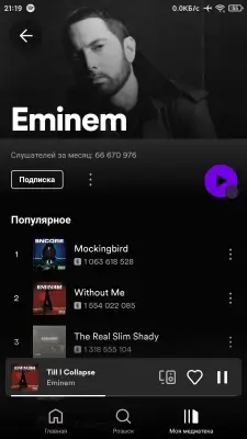 Spotify screenshot 4