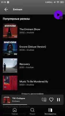 Spotify screenshot 5