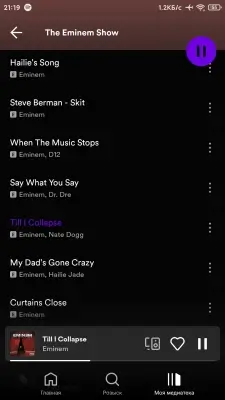 Spotify screenshot 6